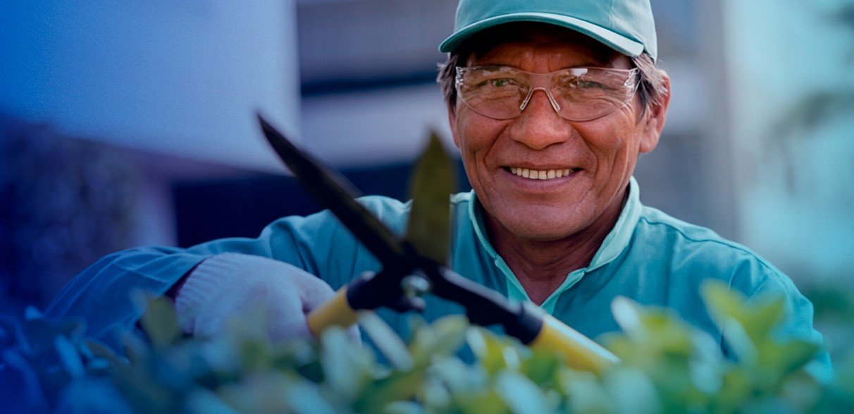 Comparativo: jardinagem terceirizada vs. equipe própria 