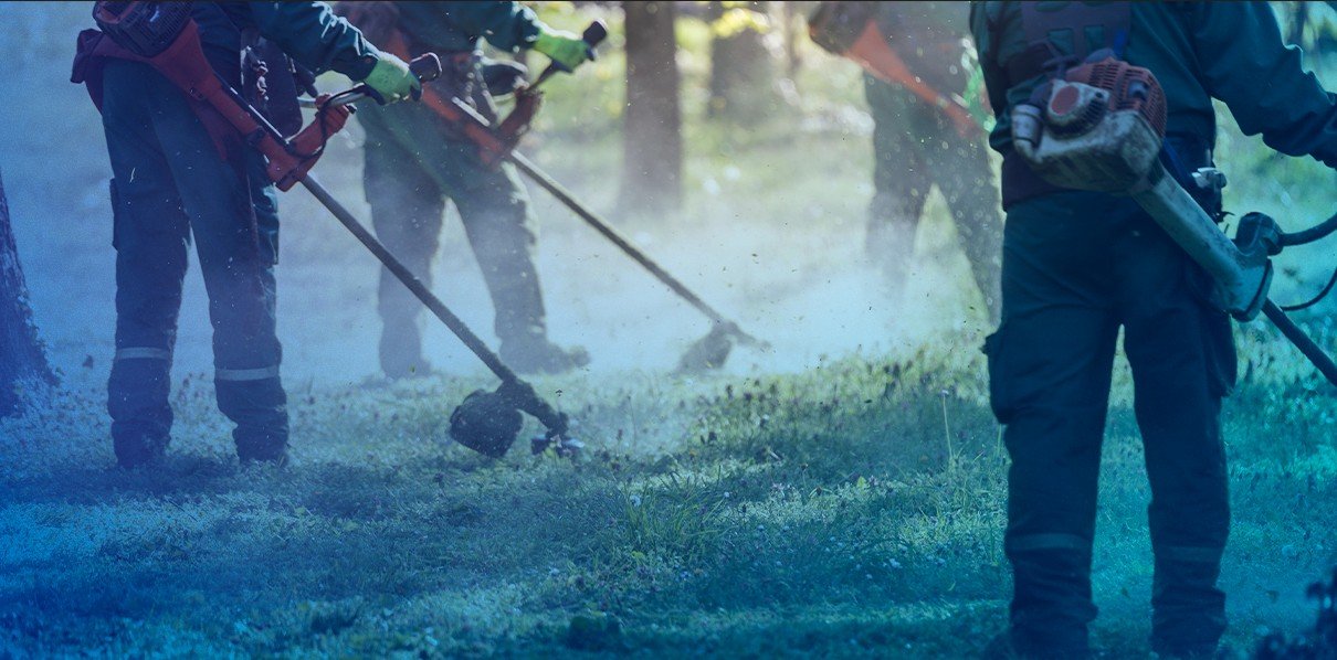 Dúvidas comuns sobre contratação de empresa de jardinagem 
