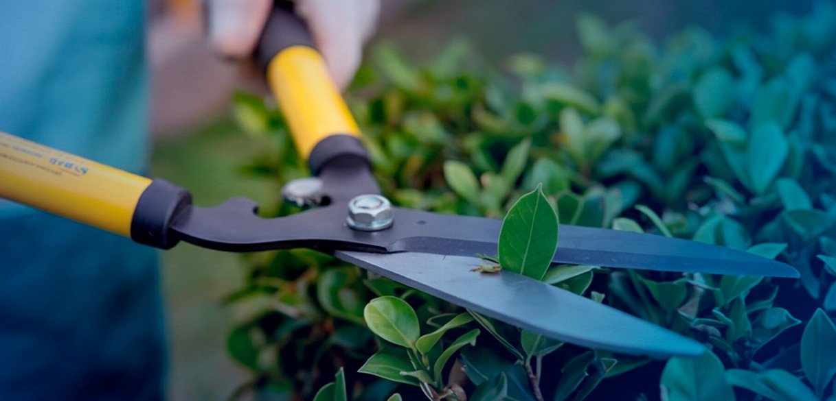 O que está incluído nos serviços de jardinagem