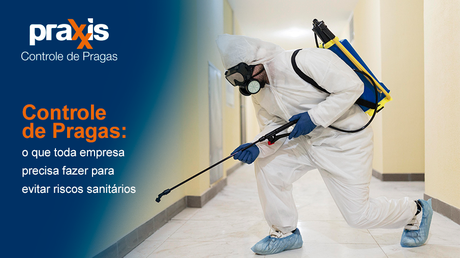 Controle de Pragas: O Que Toda Empresa Precisa Fazer Para Evitar Riscos Sanitários