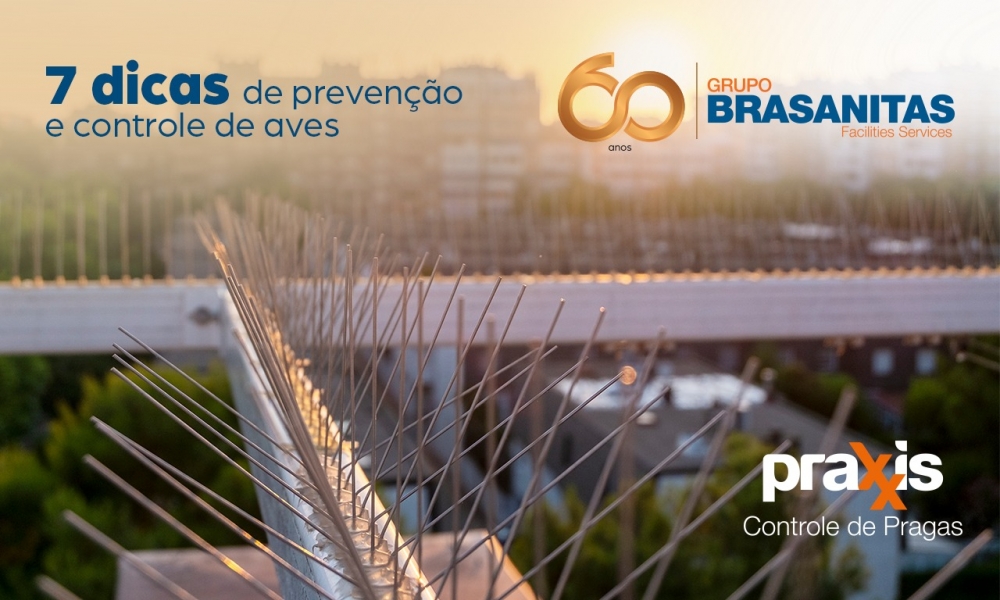 7 dicas de prevenção e controle de aves