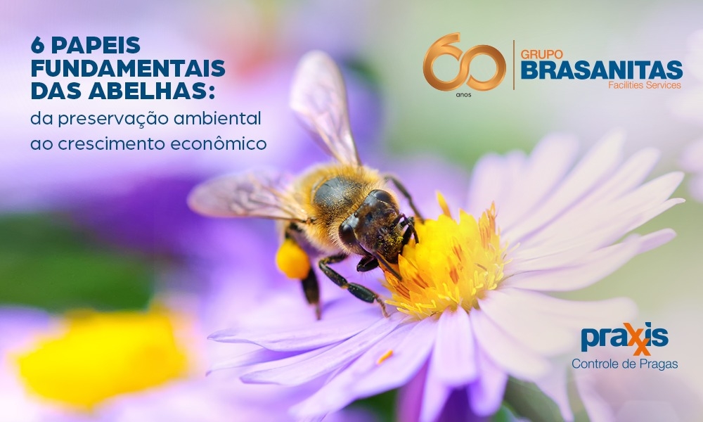 6 papeis fundamentais das abelhas: da preservação ambiental ao crescimento econômico
