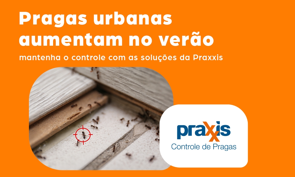Calendário de Controle de Pragas: Verão - Estação aumenta incidência e proliferação de pragas urbanas.